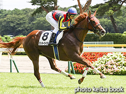 カラーパネル2017年8月20日新潟5R 2歳新馬(ラッキーライラック)