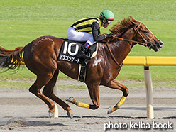 カラープリント(アルミ枠なし)2017年8月20日新潟11R NST賞(ドラゴンゲート)