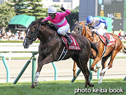 カラーパネル2017年8月20日札幌11R 札幌記念(サクラアンプルール)