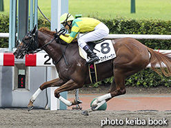 カラープリント(アルミ枠付き)2017年8月26日小倉4R 3歳未勝利(クーファディーヴァ)