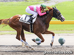 カラープリント(アルミ枠なし)2017年8月26日新潟3R 3歳未勝利(サクラレガーロ)