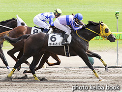 カラープリント(アルミ枠なし)2017年8月26日新潟7R 3歳上500万下(パルトネルラーフ)