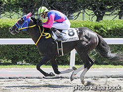 カラープリント(アルミ枠なし)2017年8月26日札幌3R 3歳未勝利(メイショウラクエン)