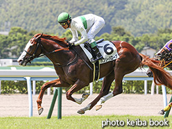 カラーパネル2017年8月27日小倉5R 2歳新馬(バブリーバローズ)