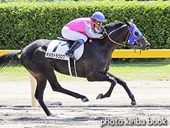 カラープリント(アルミ枠なし)2017年8月27日新潟3R 3歳未勝利(オメガドラクロワ)