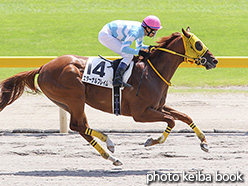 カラーパネル2017年8月27日新潟4R 3歳未勝利(エターナルフレイム)