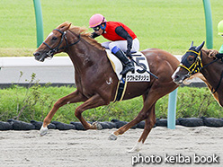 カラーパネル2017年9月9日中山1R 2歳未勝利(クワトロダッシュ)