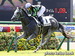 カラーパネル2017年9月10日中山1R 2歳未勝利(レトリック)