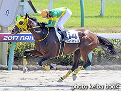 カラーパネル2017年9月10日中山3R 3歳未勝利(ハルカノテソーロ)