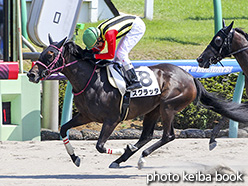 カラープリント(アルミ枠なし)2017年9月10日中山6R 3歳上500万下(スクラッタ)