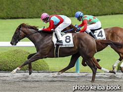 カラープリント(アルミ枠付き)2017年9月17日阪神2R 2歳未勝利(フィールシュパース)