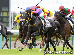 カラーパネル2017年9月17日阪神3R 2歳未勝利(メイショウドウドウ)