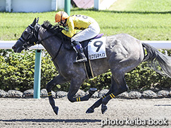 カラープリント(アルミ枠なし)2017年9月18日中山4R 障害未勝利(クリスタルキャノン)