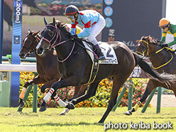 カラープリント(アルミ枠付き)2017年10月1日中山2R 2歳未勝利(ヴェロニカグレース)