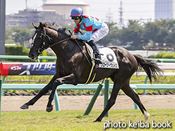 カラープリント(アルミ枠なし)2017年10月1日中山5R 2歳新馬(グローリーヴェイズ)