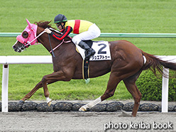 カラーパネル2017年10月14日京都7R 3歳上500万下(ジュエアトゥー)