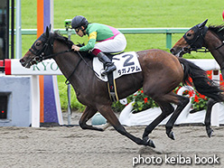 カラーパネル2017年10月15日京都1R 2歳未勝利(タガノアム)