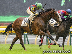 カラープリント(アルミ枠付き)2017年10月22日東京3R 2歳未勝利(ヴォウジラール)