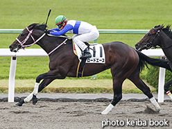 カラープリント(アルミ枠なし)2017年10月28日京都4R 2歳新馬(ロードエース)