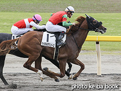 カラープリント(アルミ枠付き)2017年10月28日新潟2R 2歳未勝利(マイネルサリューエ)