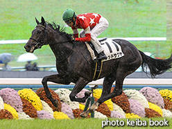 カラーパネル2017年10月29日京都5R 2歳新馬(レッドサクヤ)