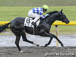 カラーパネル2017年10月29日新潟2R 2歳未勝利(モアイ)