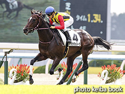 カラーパネル2017年11月3日京都7R 2歳新馬(トゥラヴェスーラ)