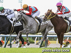 カラーパネル2017年11月11日京都5R 2歳新馬(エールショー)