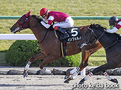 カラープリント(アルミ枠なし)2017年11月11日京都9R 花背特別(インフェルノ)