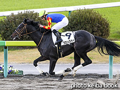 カラープリント(アルミ枠付き)2017年11月11日福島1R 2歳未勝利(ブロンズケイ)