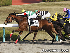 カラープリント(アルミ枠付き)2017年12月9日阪神2R 2歳未勝利(エンジェルウィング)