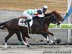 カラーパネル2017年12月9日中京2R 3歳上500万下(クインアマランサス)