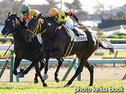 カラーパネル2017年12月9日中山5R 2歳新馬(ツヅミモン)