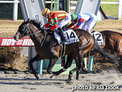 カラープリント(アルミ枠なし)2017年12月9日中山8R 3歳上1000万下(リモンディ)