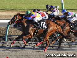 カラーパネル2017年12月9日中山10R アクアラインステークス(ベック)