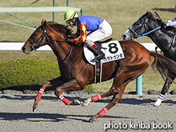 カラープリント(アルミ枠付き)2017年12月10日阪神1R 2歳未勝利(カタトゥンボ)