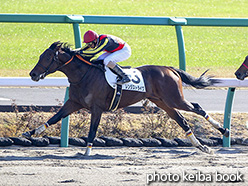 カラーパネル2017年12月10日中山4R 2歳未勝利(レンジストライク)