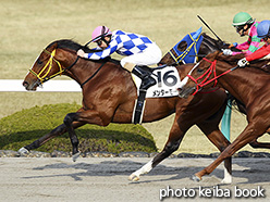 カラープリント(アルミ枠なし)2017年12月16日阪神7R 3歳上500万下(メンターモード)