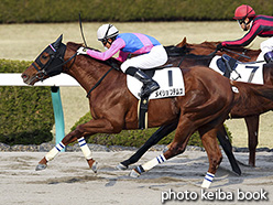 カラープリント(アルミ枠付き)2017年12月16日阪神8R 3歳上500万下(メイショウテムズ)