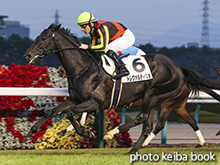 カラープリント(アルミ枠なし)2017年12月16日阪神12R 3歳上1000万下(トレクァルティスタ)