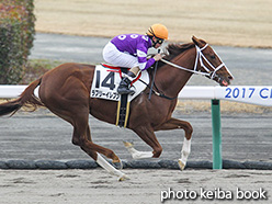 カラーパネル2017年12月16日中京1R 2歳未勝利(ラブリーイレブン)