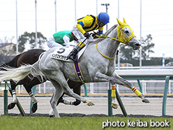 カラープリント(アルミ枠なし)2017年12月16日中京4R 障害未勝利(キングズオブザサン)