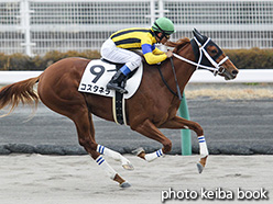 カラープリント(アルミ枠なし)2017年12月16日中京5R 2歳新馬(コスタネラ)
