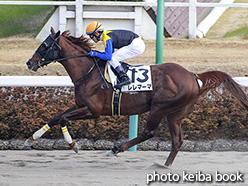 カラープリント(アルミ枠なし)2017年12月16日中山8R 3歳上1000万下(レレマーマ)