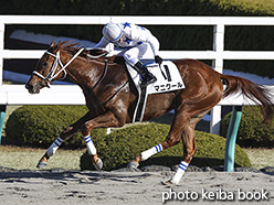 カラープリント(アルミ枠なし)2017年12月17日阪神1R 2歳未勝利(マニクール)