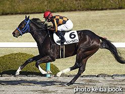 カラープリント(アルミ枠なし)2017年12月23日阪神2R 2歳未勝利(モズノーブルギフト)