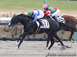 カラープリント(アルミ枠付き)2017年12月24日中山3R 2歳未勝利(ロードネプチューン)