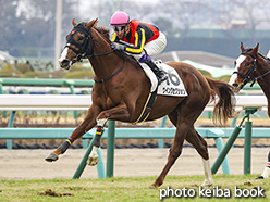 カラーパネル2017年12月24日中山5R 2歳新馬(ウイングセクション)