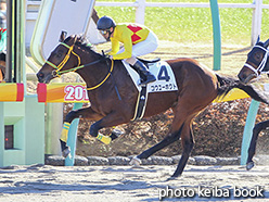 カラープリント(アルミ枠付き)2017年12月28日中山1R 2歳未勝利(コウユーホクト)