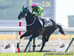 カラープリント(アルミ枠なし)2018年1月6日京都6R 3歳新馬(サトノフェイバー)